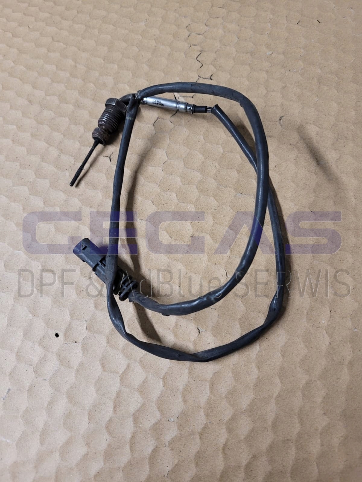 CZUJNIK TEMPERATURY SPALIN FIAT DUCATO 2.3D 55283044